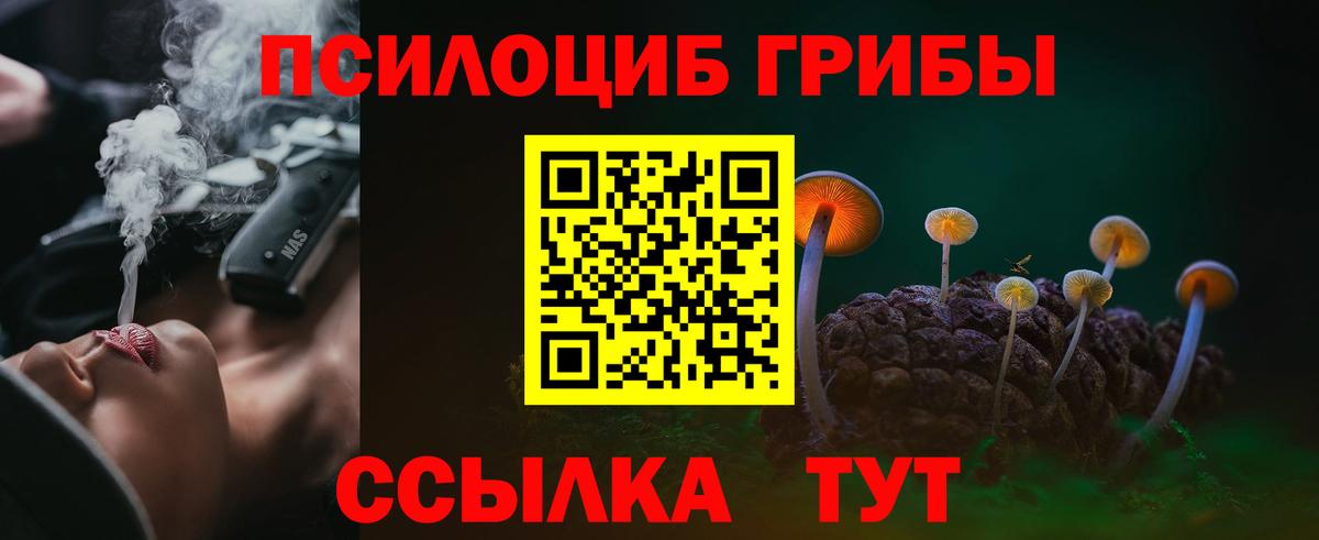 Сердобск  Галлюциногенные грибы Magic Shrooms  Галлюциногенные грибы Magic Shrooms  Вход с VPN 